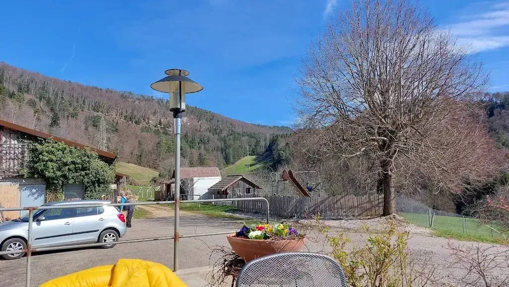 Ben Nestor_Restaurant Bergmattenhof, Jos. Meury Kupferschmid_Dittingen_recensione