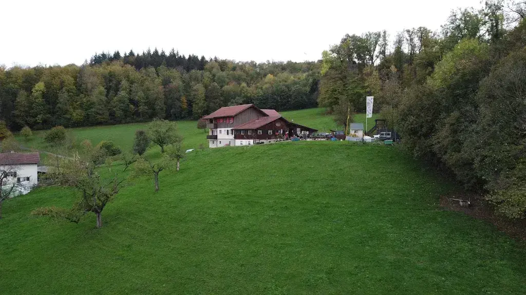 Gerd T._Restaurant Wystübli- Leuengrund_Pratteln_review