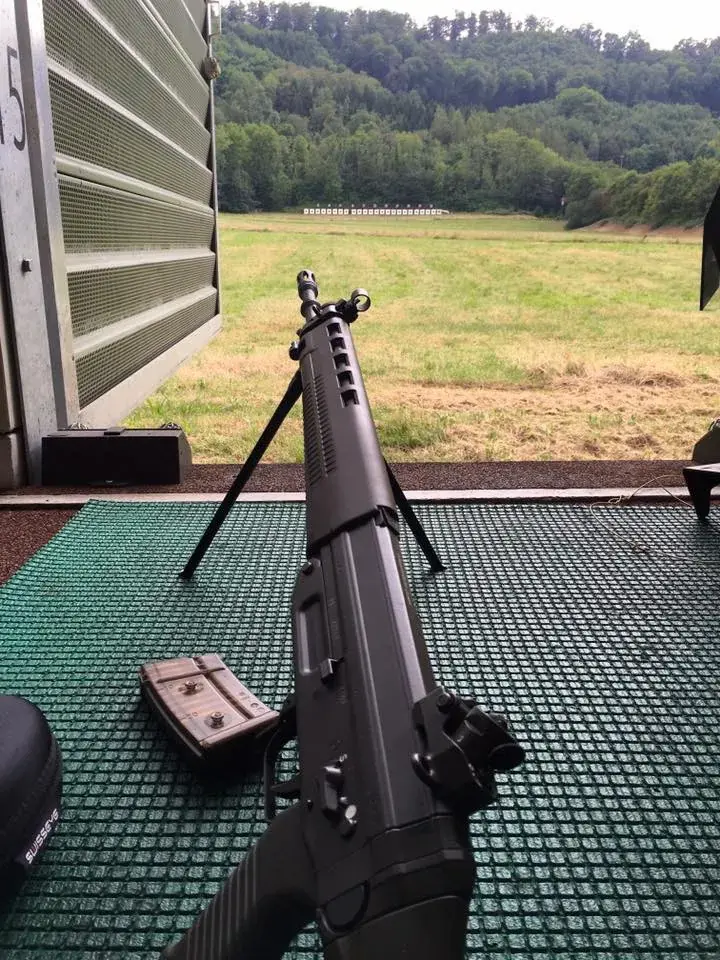 Michel Tinguely_Restaurant Lachmatt_Pratteln_avis