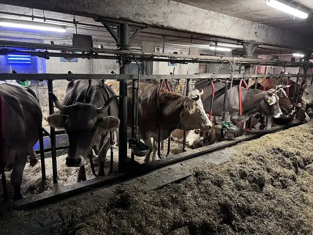 Osaze Osayande_Restaurant Hofgut_Bubendorf_Bewertung