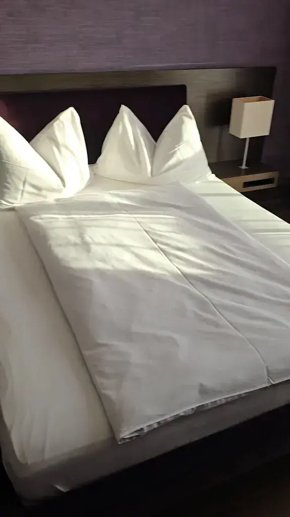 Wissam Aljord_Bad Bubendorf Hotel_Bubendorf_review