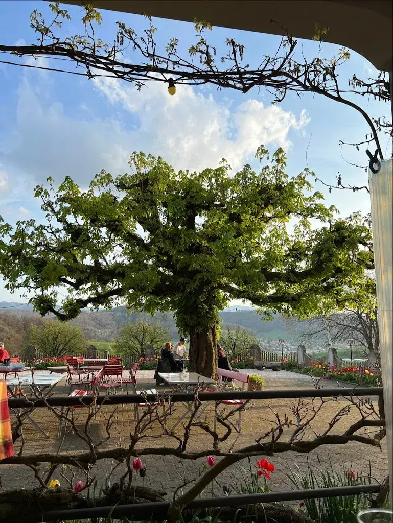 Ursula Gasser_Gasthof Alpbad_Sissach_avis