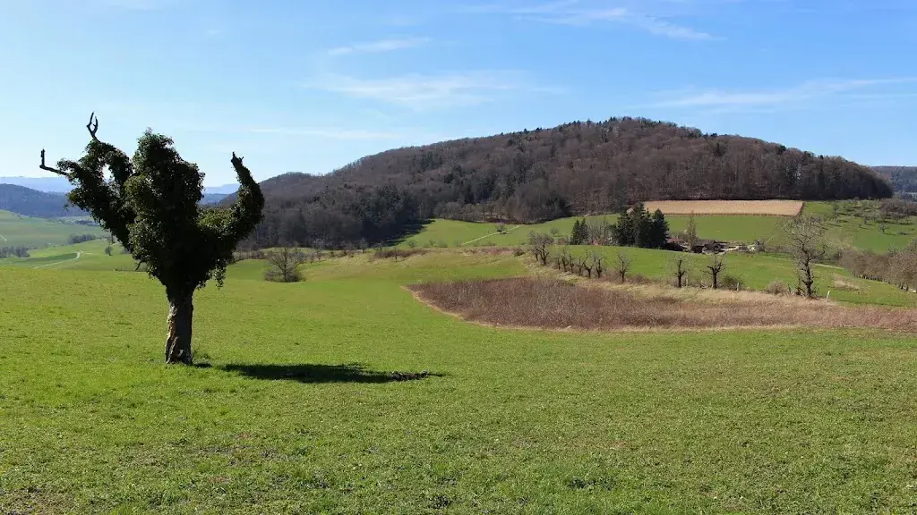 Uwe Häntsch_Restaurant Asphof_Rothenfluh_review