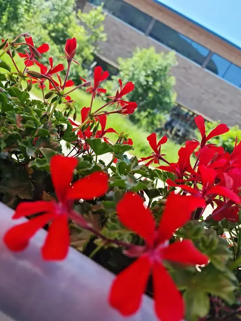 Mirjana Bokic_Restaurant zum Kloster_Maisprach_avis