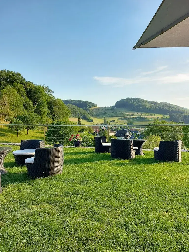 Roman Gmünder_Restaurant Weinterrasse_Maisprach_avis