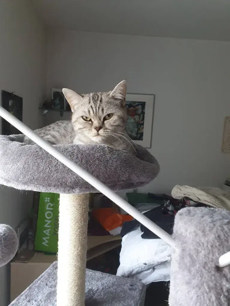 Esthi Beck_Landoase_Arboldswil_review