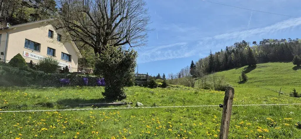 RB-PHOTOGRAPHY_Bergwirtschaft Stierenberg, 4207 Bretzwil_Bretzwil_avis