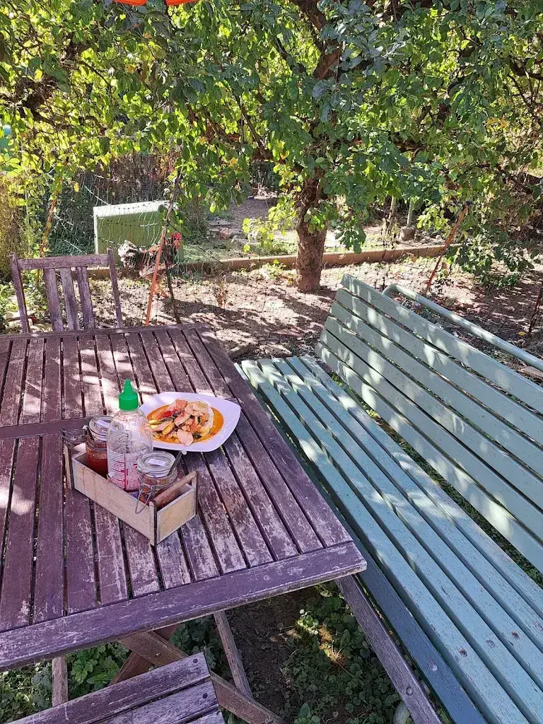 Roman Isch_takethai_Hölstein_avis