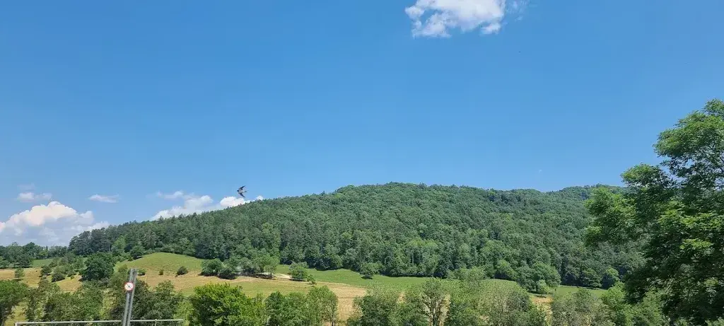 Gabrielle Hodge_Alprestaurant Babental_Schleitheim_avis