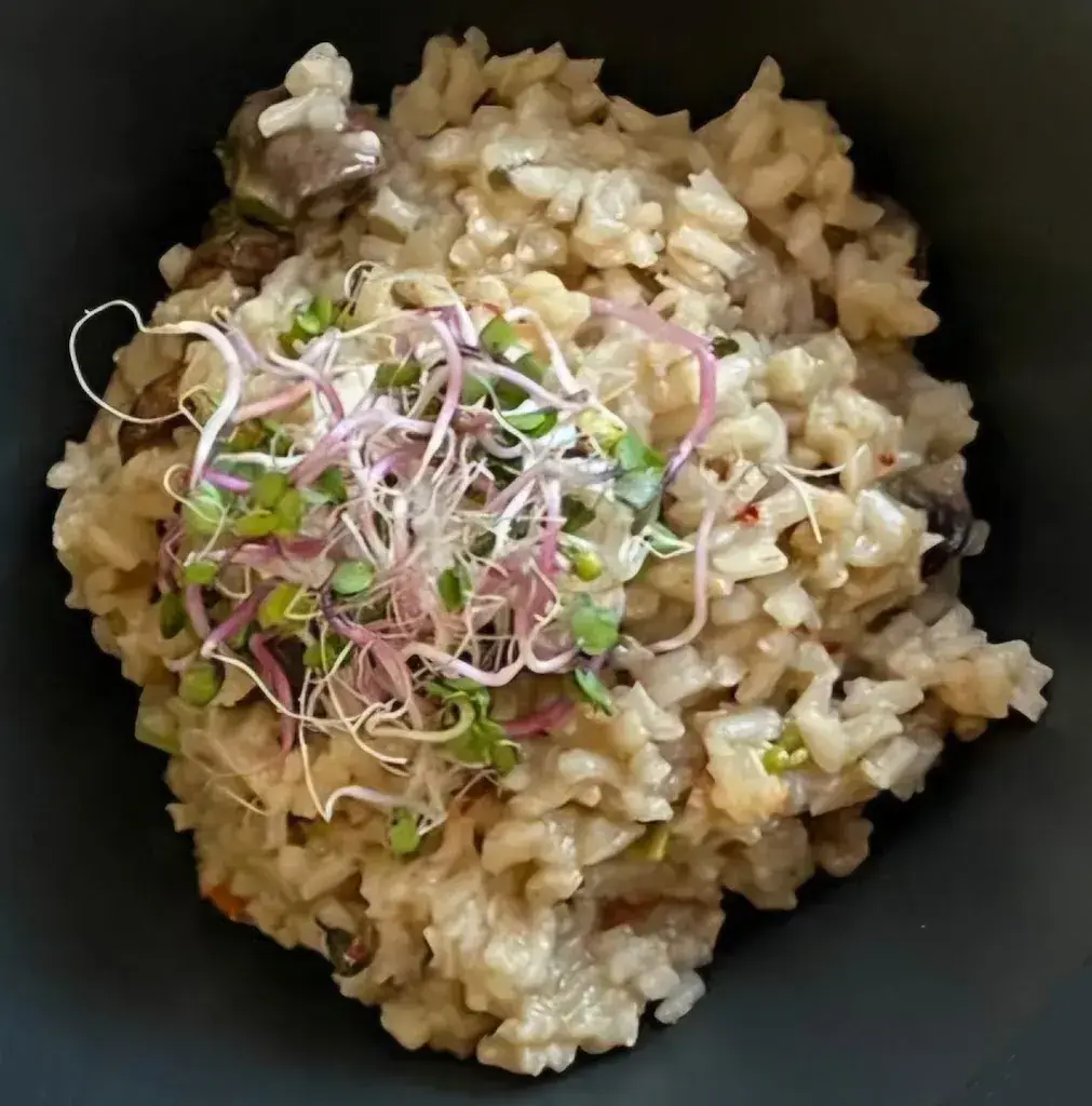 Menu_Zum Kleinen Käfig_Schaffhausen_image_6