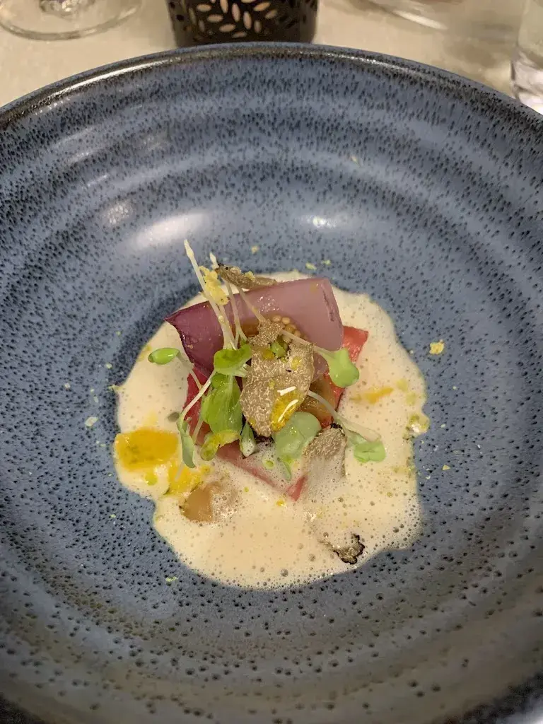 Fish Blob_Munotblick_Feuerthalen_review