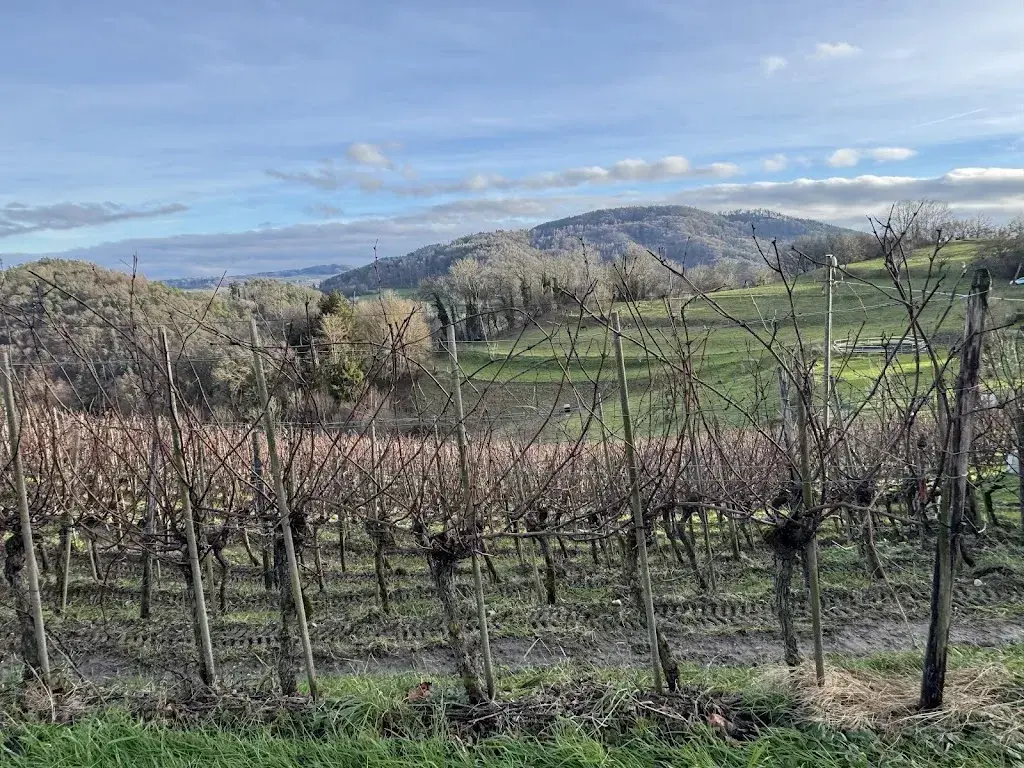 Andreas Wethli_Café Restaurant Rebe_Buchberg_review