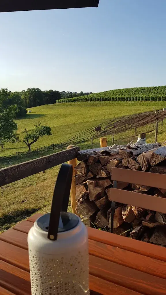 The Contract Lawyer_Restaurant /Besen-Beiz/Besenwirtschaft/Gelegenheitswortschaft/Ausflugsziel_Buchberg_review