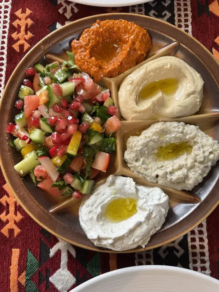 Elisa DeFoe_Babylon Restaurant مطعم عربي عراقي_Neuhausen am Rheinfall_review