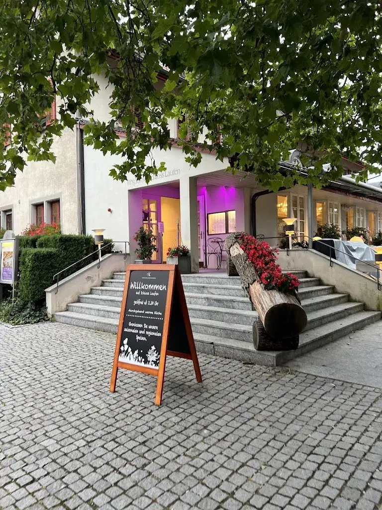 Aravind Ramachandran_Restaurant Laufen Castle at the Rheinfalls_Dachsen_avis