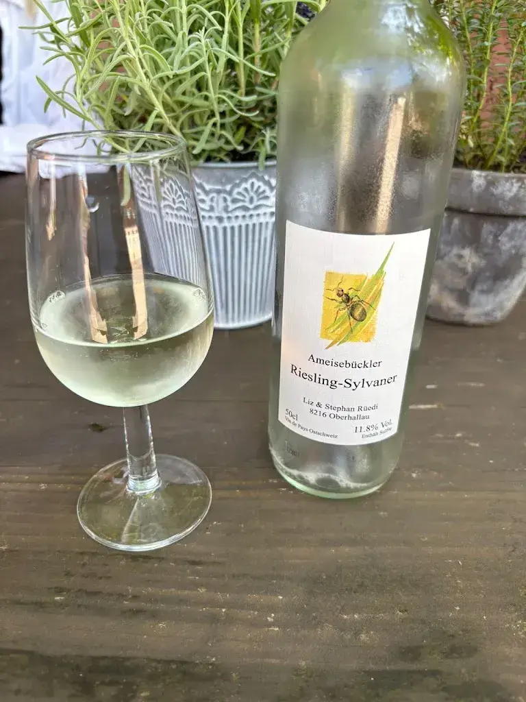 MONIKA T._Ant Hill Besenbeiz_Oberhallau_avis