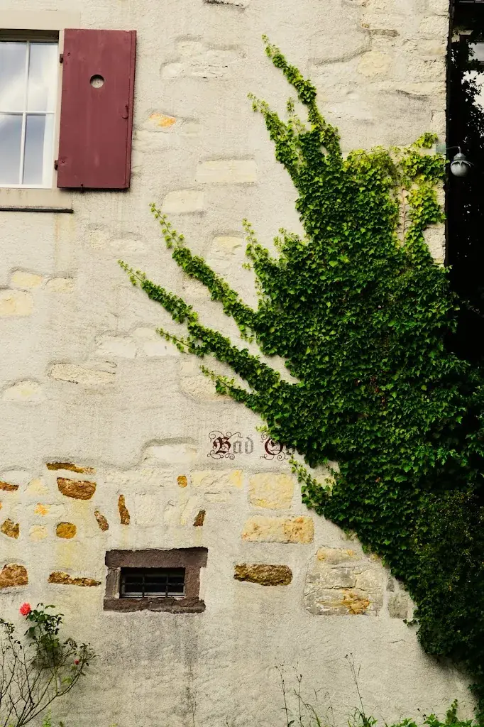 Max Ka_Gasthaus und Weingut Bad Osterfingen_Osterfingen_review