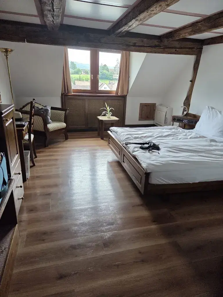 Kristel Spanjers_Hotel Restaurant Rheinfels_Stein am Rhein_review