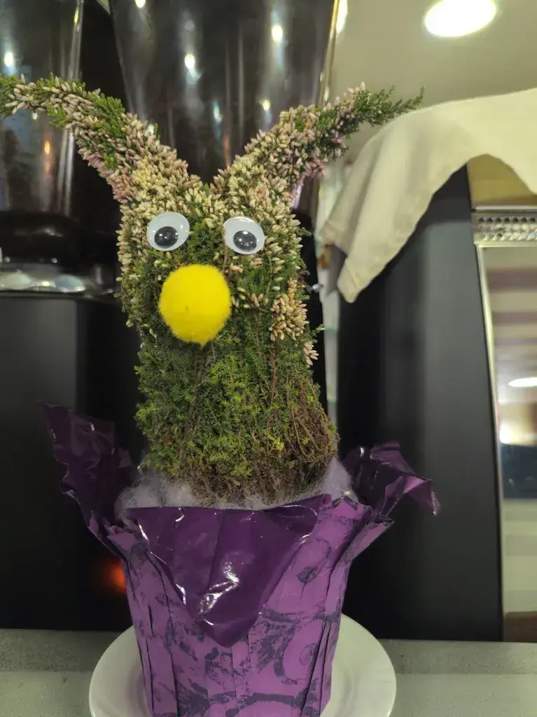 Patty Baker_Rhy Lounge_Stein am Rhein_avis