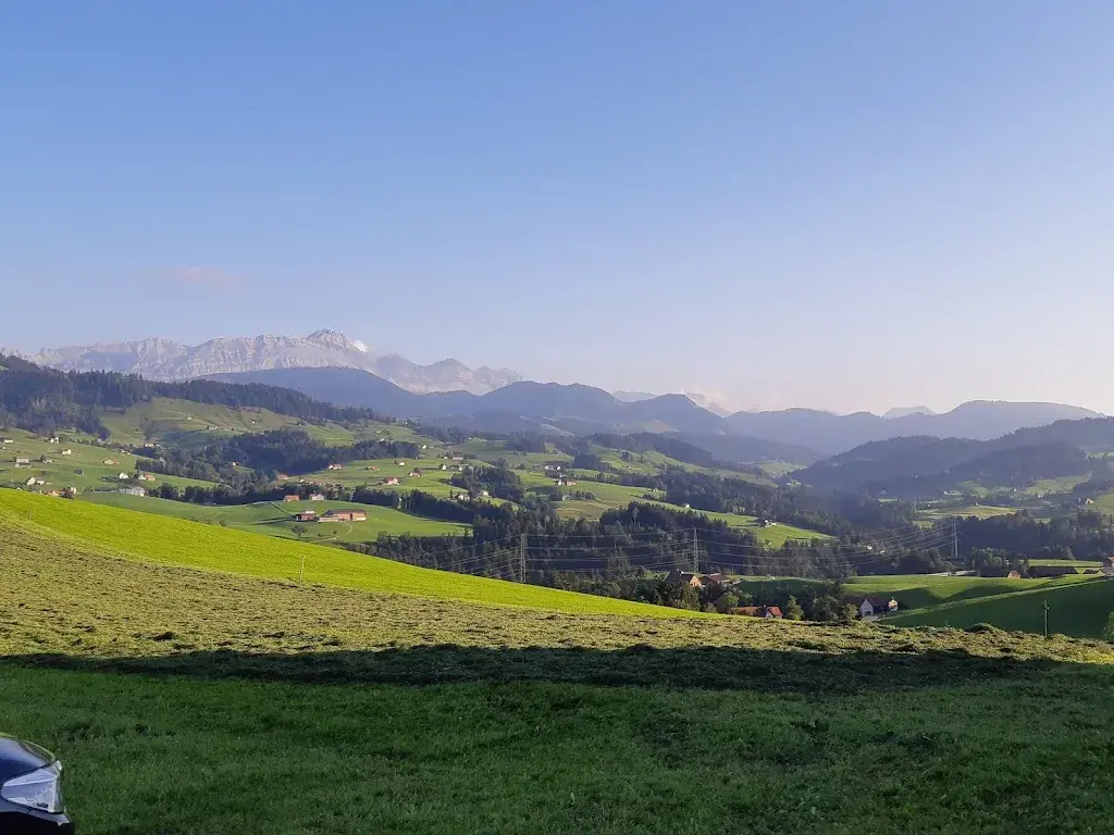 Tabzie cat_Restaurant Rechberg_Herisau_review