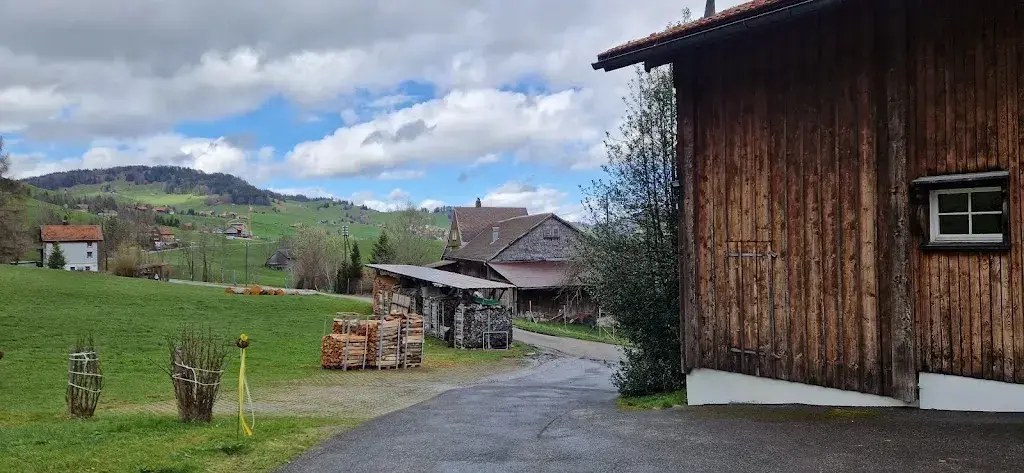 Albert Dias_Restaurant Hofstoebli Urnäsch_Urnäsch_review