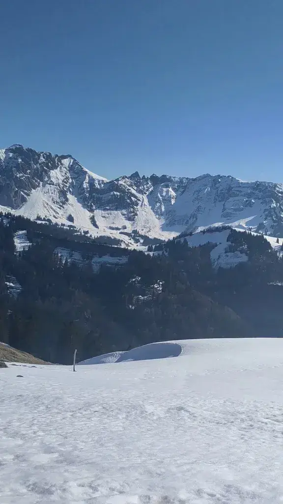 Nicos Tagaras_Berggasthaus Hochalp_Urnäsch_review