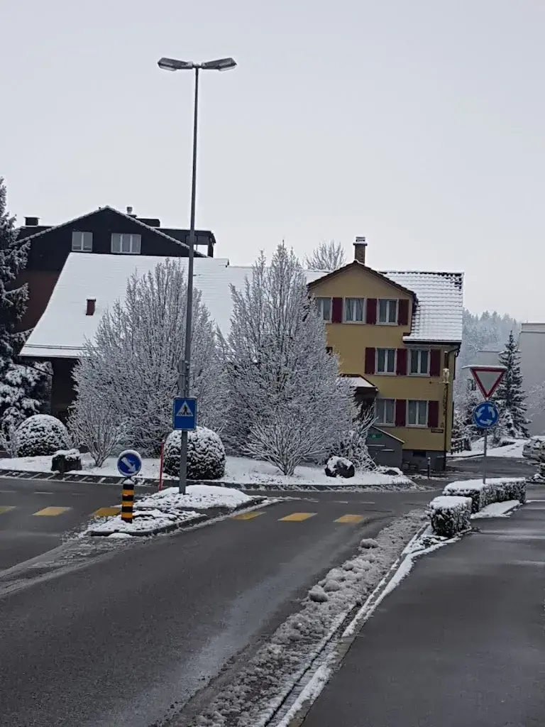 Joao Paulo_Schäfli_Gossau_avis