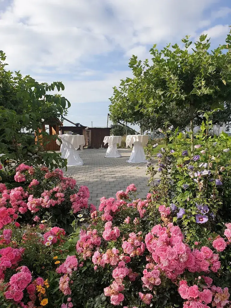 Andrea Müller_Hofstadl_Gossau_review