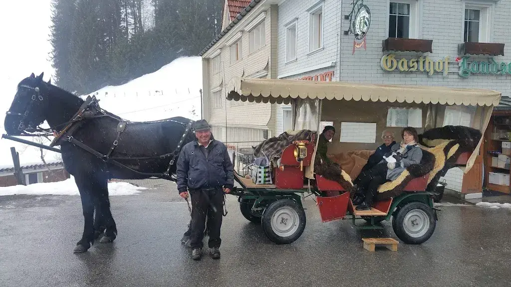 Claudia Nyffeler_Restaurant Landscheide_Schwellbrunn_avis