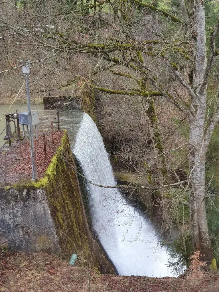 Riga Patrouille Swiss Bohler_Kantonsgrenze_Degersheim_review