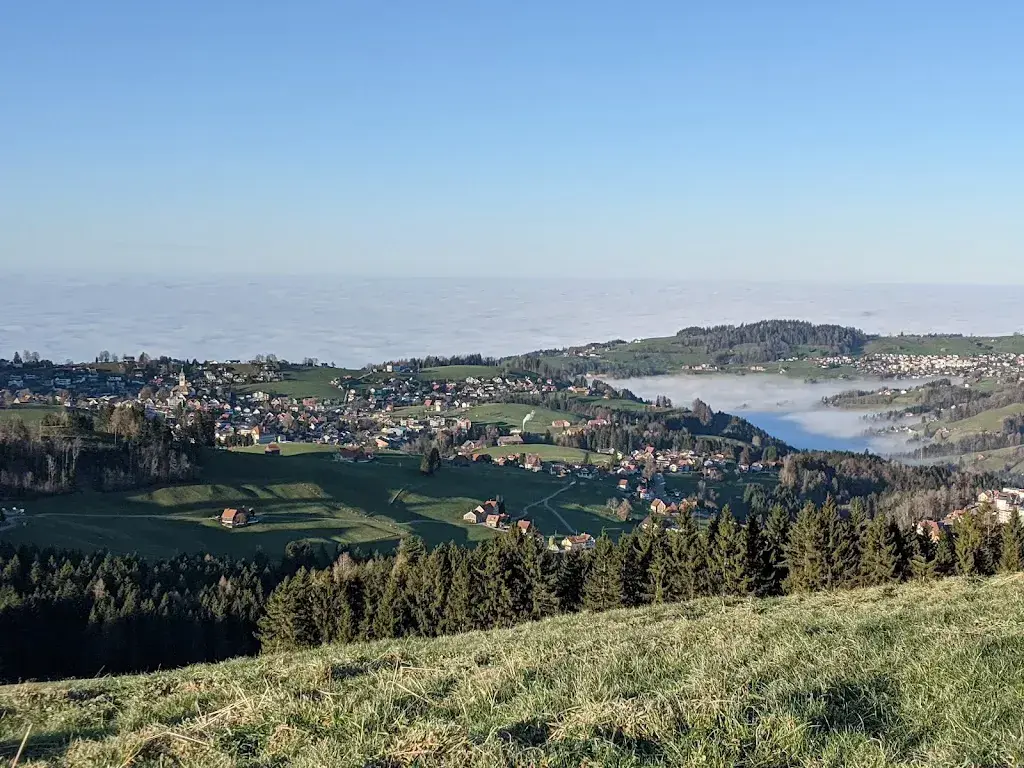 Michi Helbling_Hohe Buche_Trogen_review