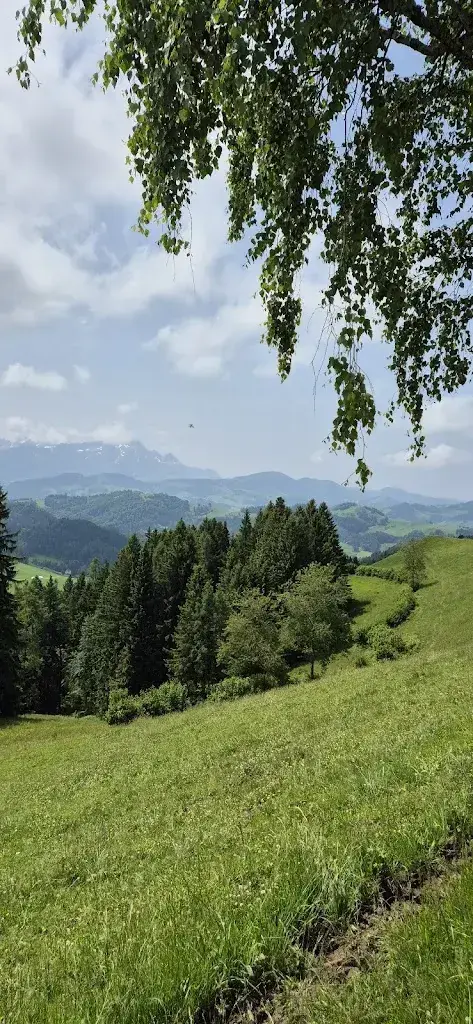 Petra Kunz_Hohe Buche_Trogen_review