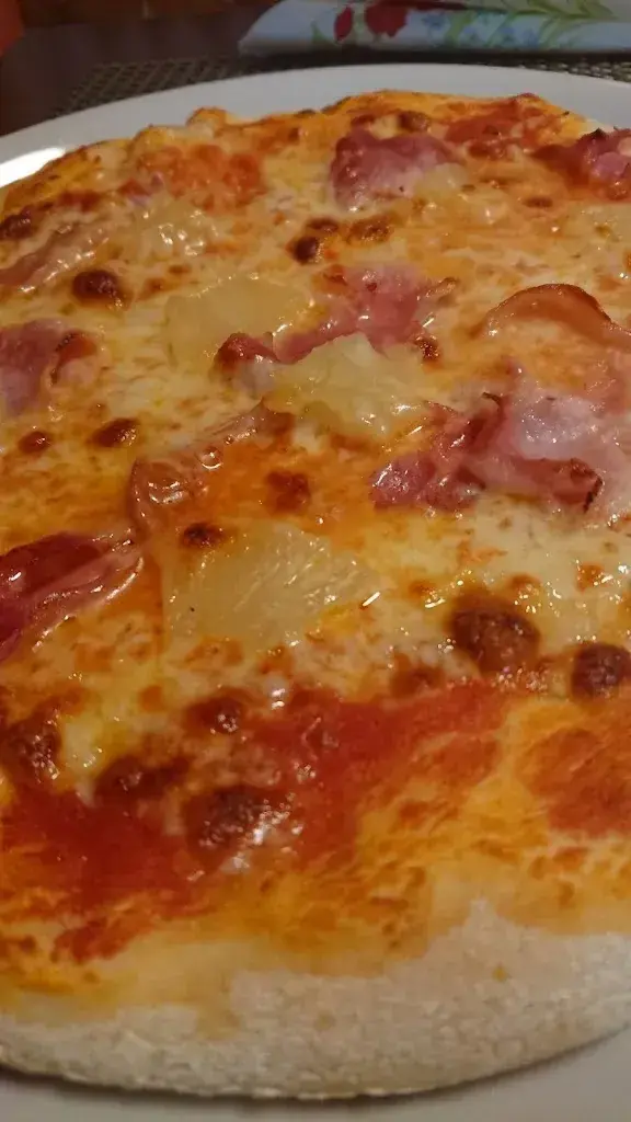 Die M. F._Adler_Speicher_review