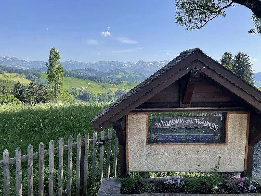 Kris Allee_Erlebnis Waldegg_Teufen_review