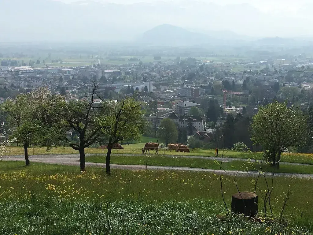 Micah S_Restaurant Tübli_Altstätten_review