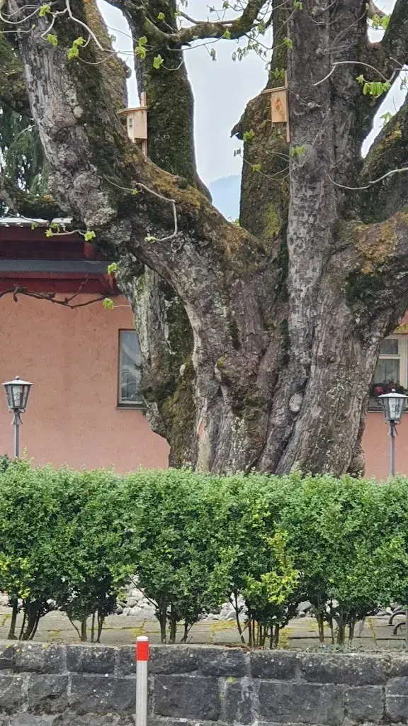 Karin Kühnis_Bahnhof_Altstätten_review