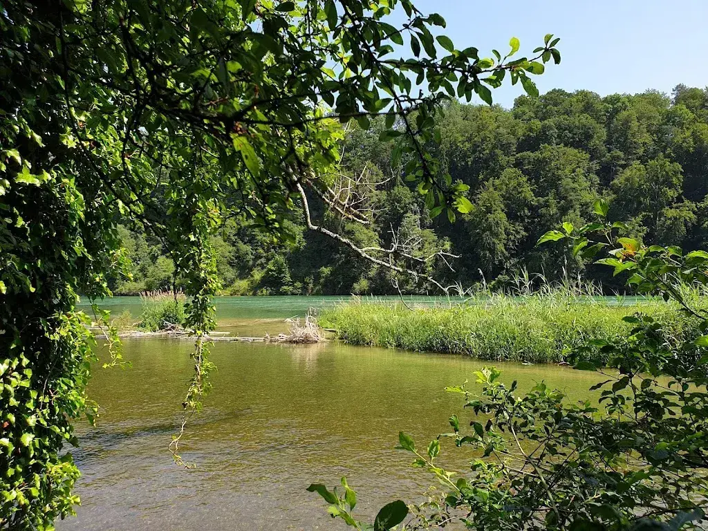 The Gypsie_Tössegg Restaurant_Freienstein-Teufen_review