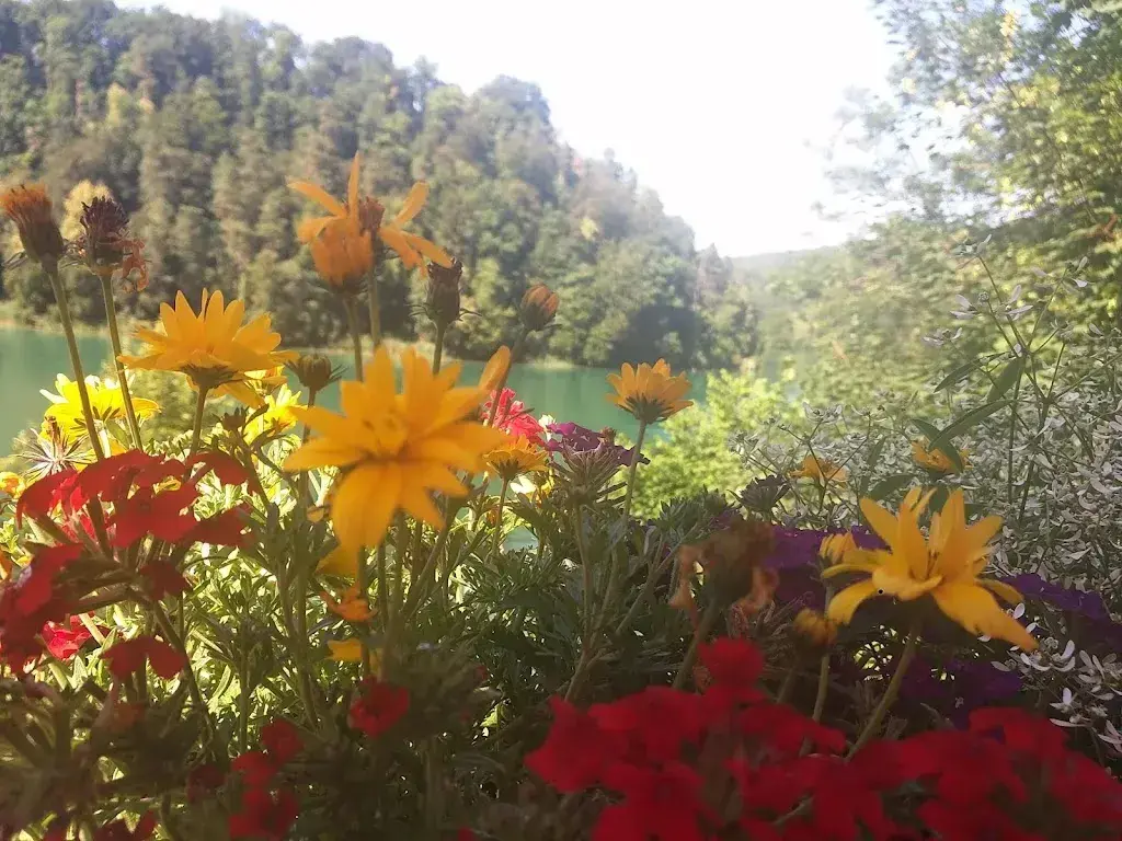 Michał Graf_Tössegg Restaurant_Freienstein-Teufen_review