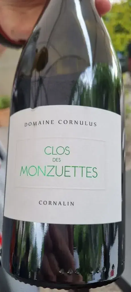 Menu_Restaurant Corso_St. Gallen_image_3