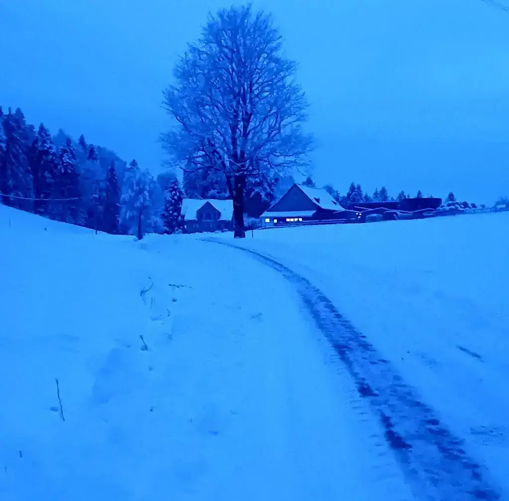 Vreni Tanner_Unterer Brand_St. Gallen_avis