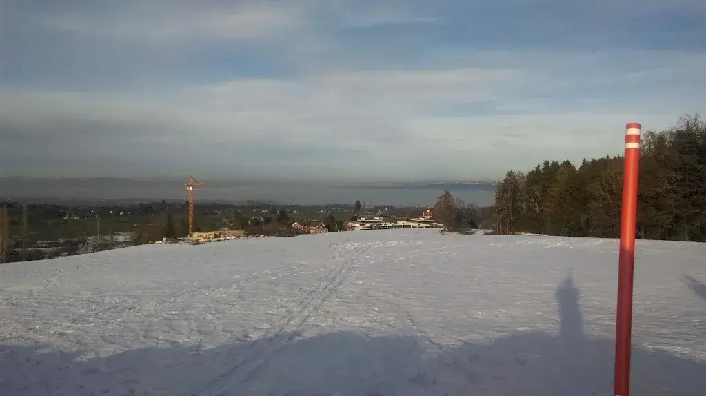 Erico Santos_Restaurant Guggeien-Höchst_St. Gallen_review