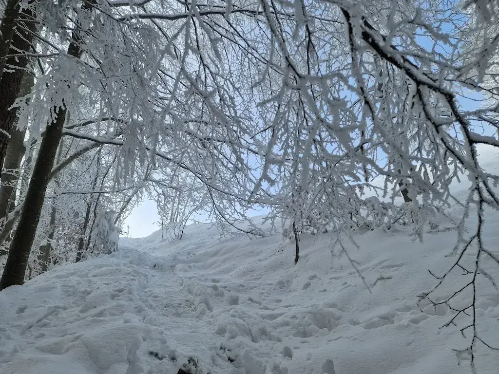 Richard Schoekle_Restaurant Scheidweghütte_Rehetobel_avis