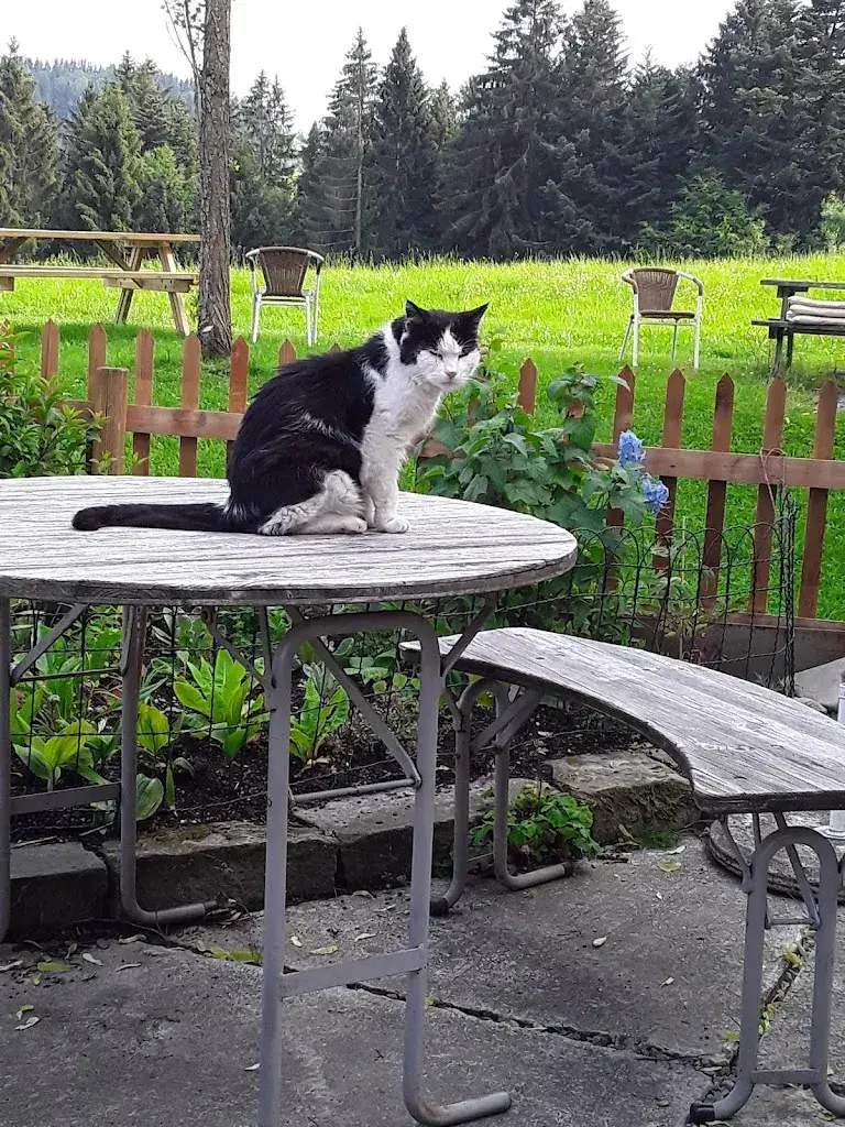 Viktorija Shapoval_Wirtschaft Rütegg_Oberegg_avis