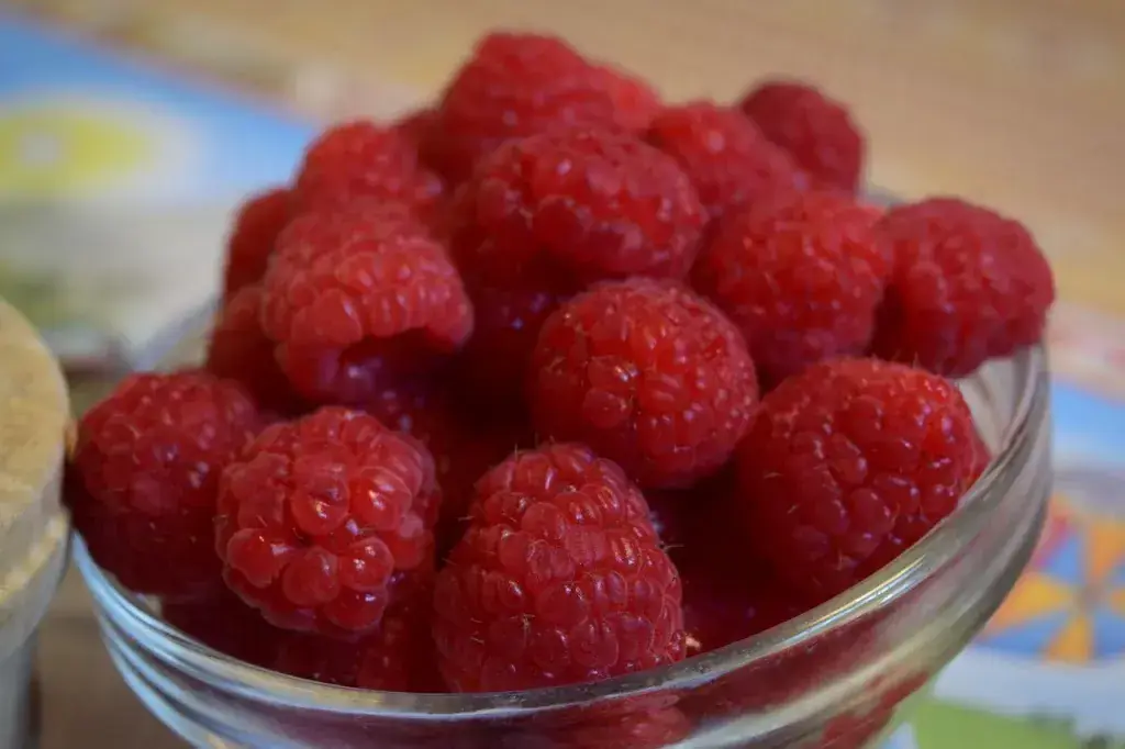 Menu_Chalet de Gruyères_Gruyères_immagine_8