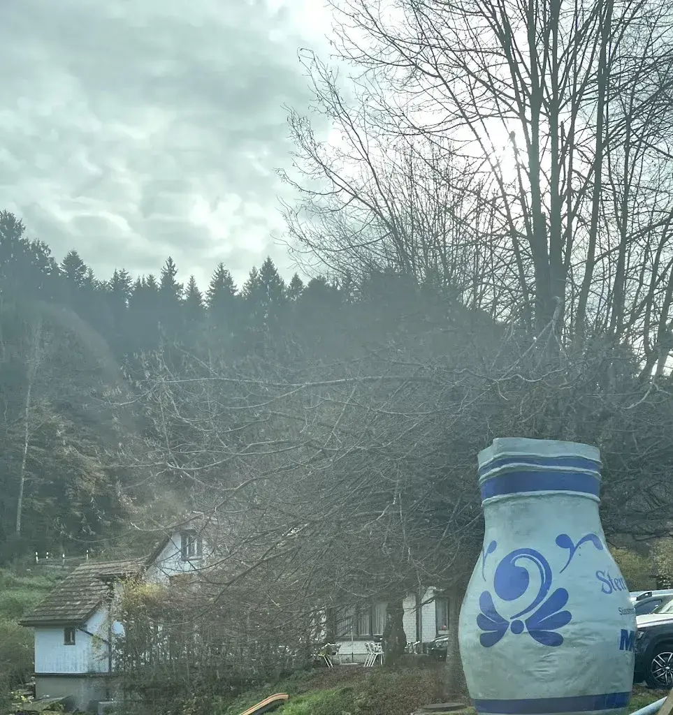 Brunhyld Pfister_Bad Schönenbühl_Wolfhalden_recensione