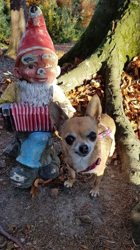 Cedric Embacher_Meldegg_Walzenhausen_avis