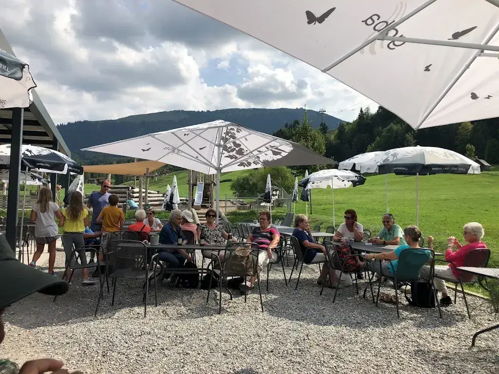 Homo-Sapien Human_Kronberg Talrestaurant_Jakobsbad_review