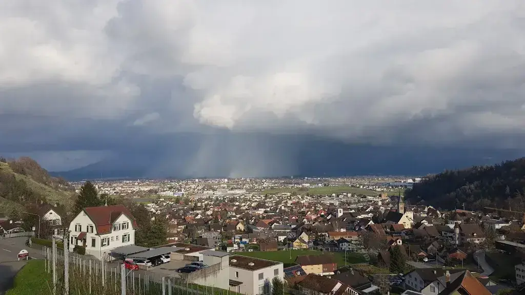 John Wick 865_Speiserestaurant Maienhalde_Berneck_avis