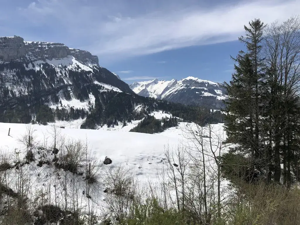 Jump NYC_Ruhesitz_Rüte_review