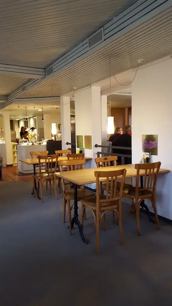 Christoph von Arx_Löwen Sommeri_Sommeri_review